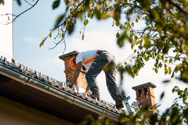 Best Metal Roofing Contractor  in Desert Hills, AZ